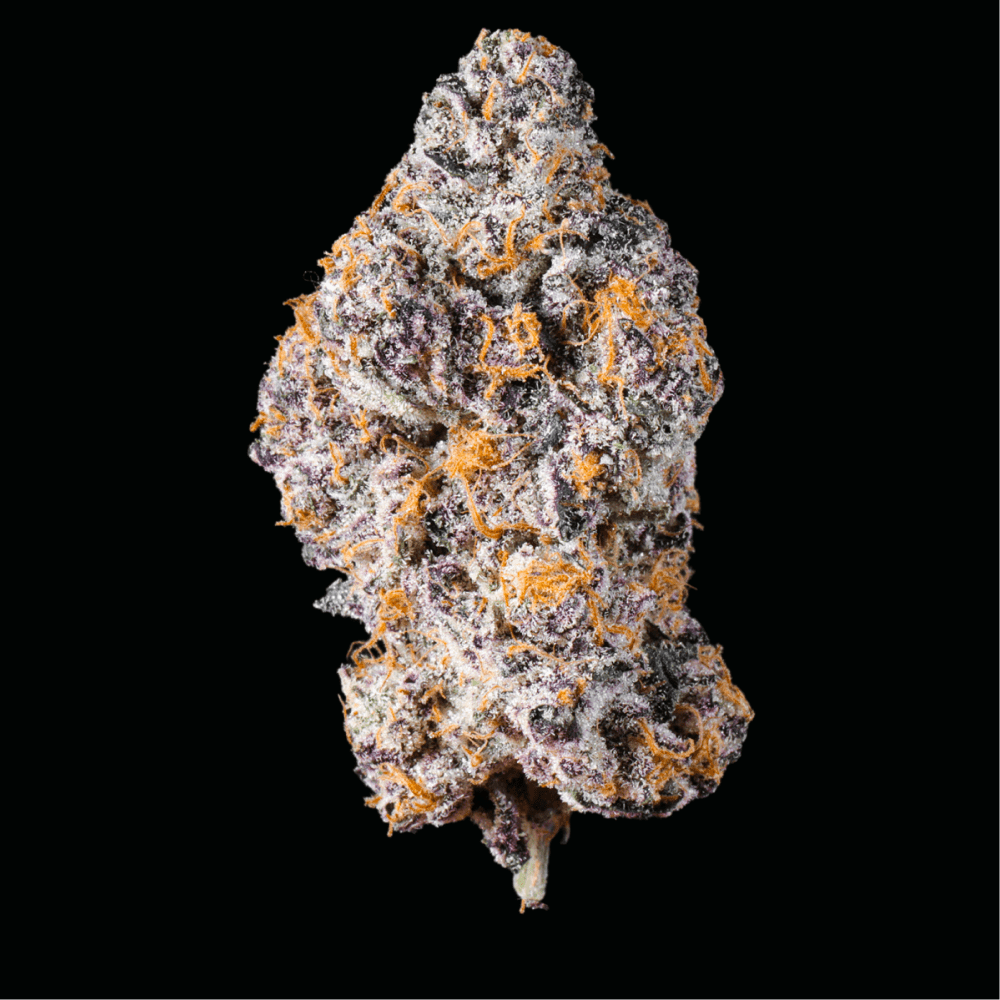 Amaretto Mintz THCA Flower - Lost In Translation