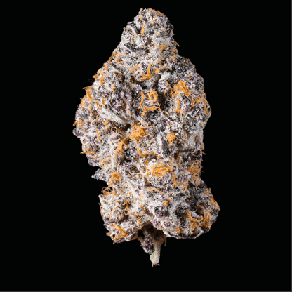 Amaretto Mintz THCA Flower - Lost In Translation