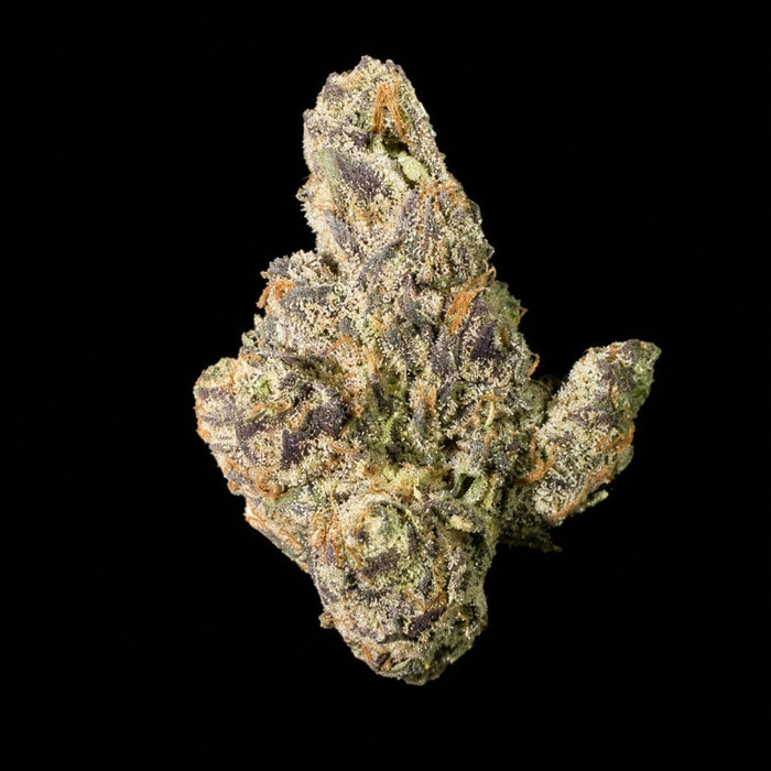 Apple Fritter THCA Flower - Lost In Translation