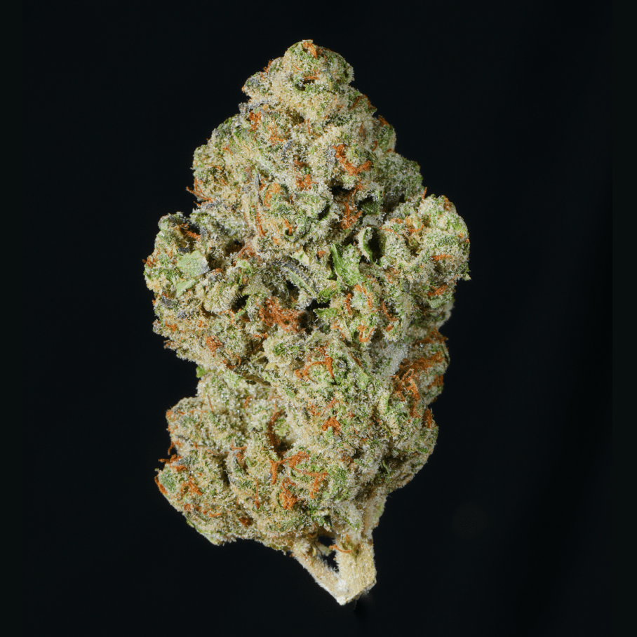 Apple Pie THCA Flower - Lost In Translation