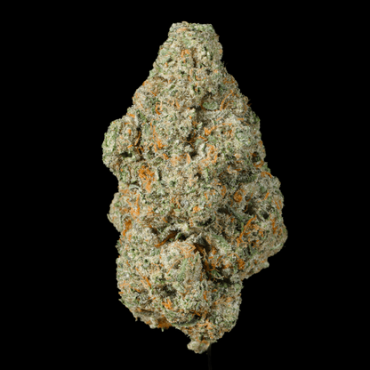 Apple Pie THCA Flower - Lost In Translation