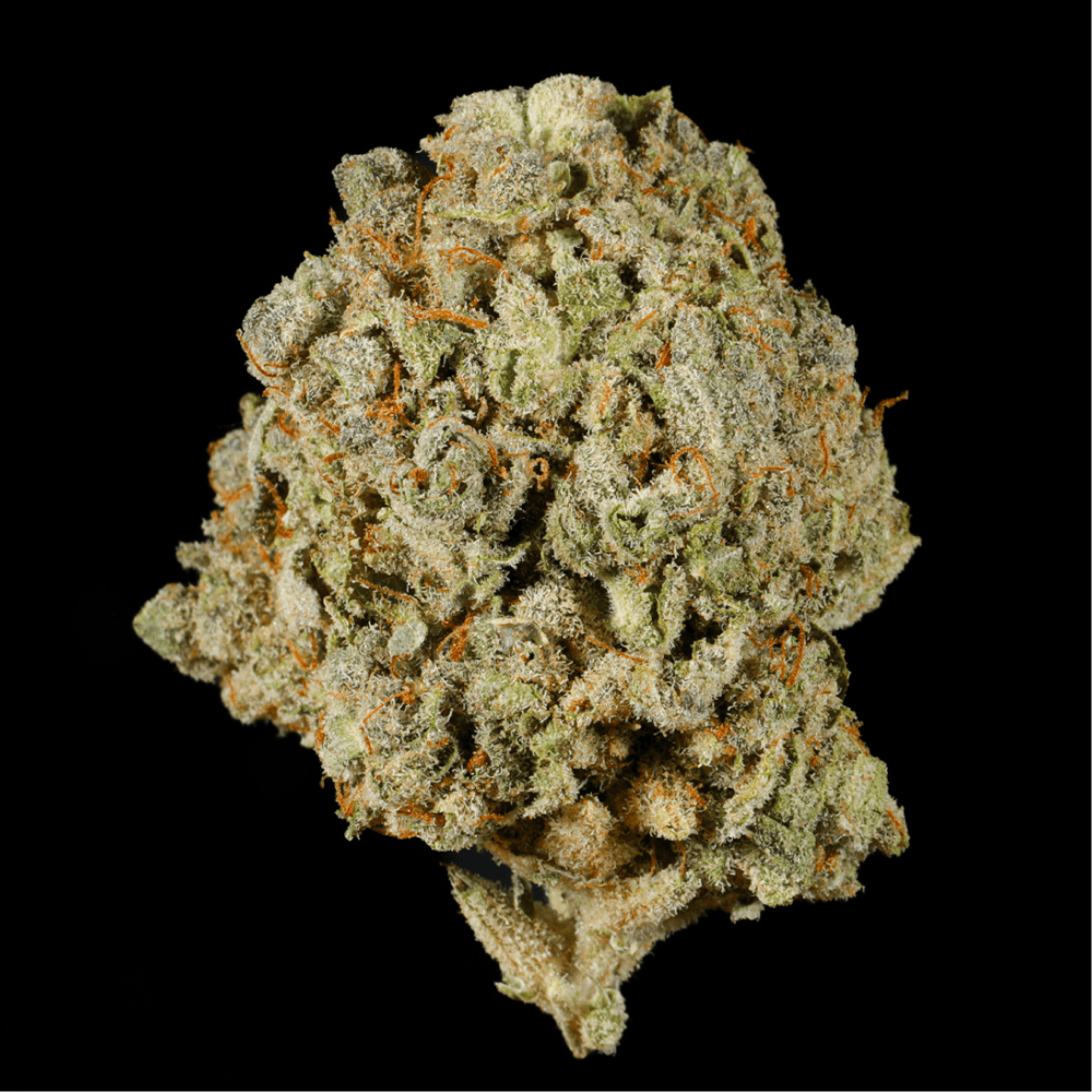 Apple Pie THCA Flower - Lost In Translation