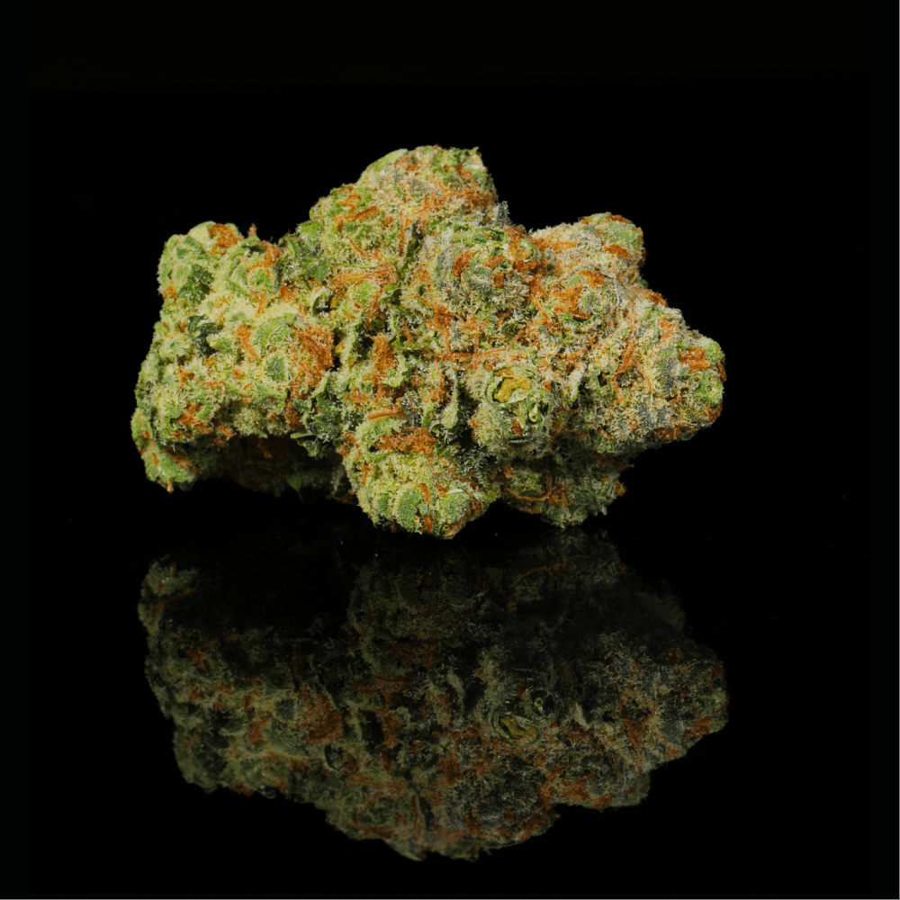 Applescotti THCA Flower – Lost In Translation