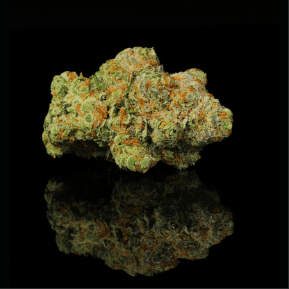 Applescotti THCA Flower - Lost In Translation