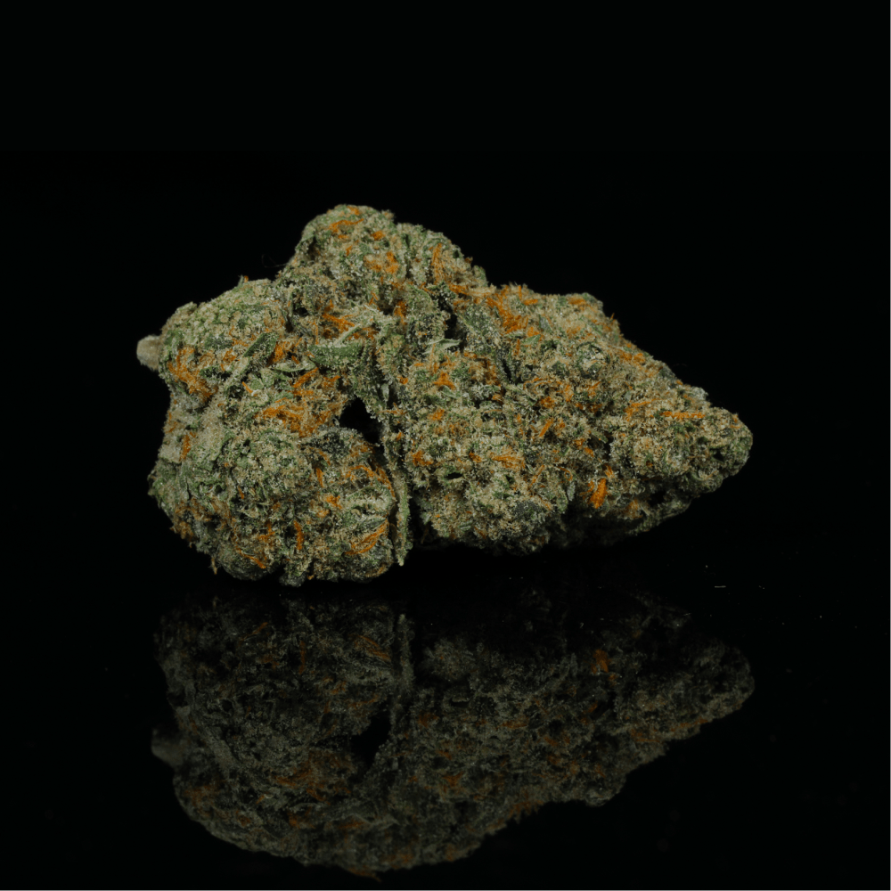 Apricot THCA Flower - Lost In Translation