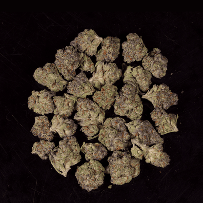 Peanut Butter Breath THCA Flower - Lost In Translation