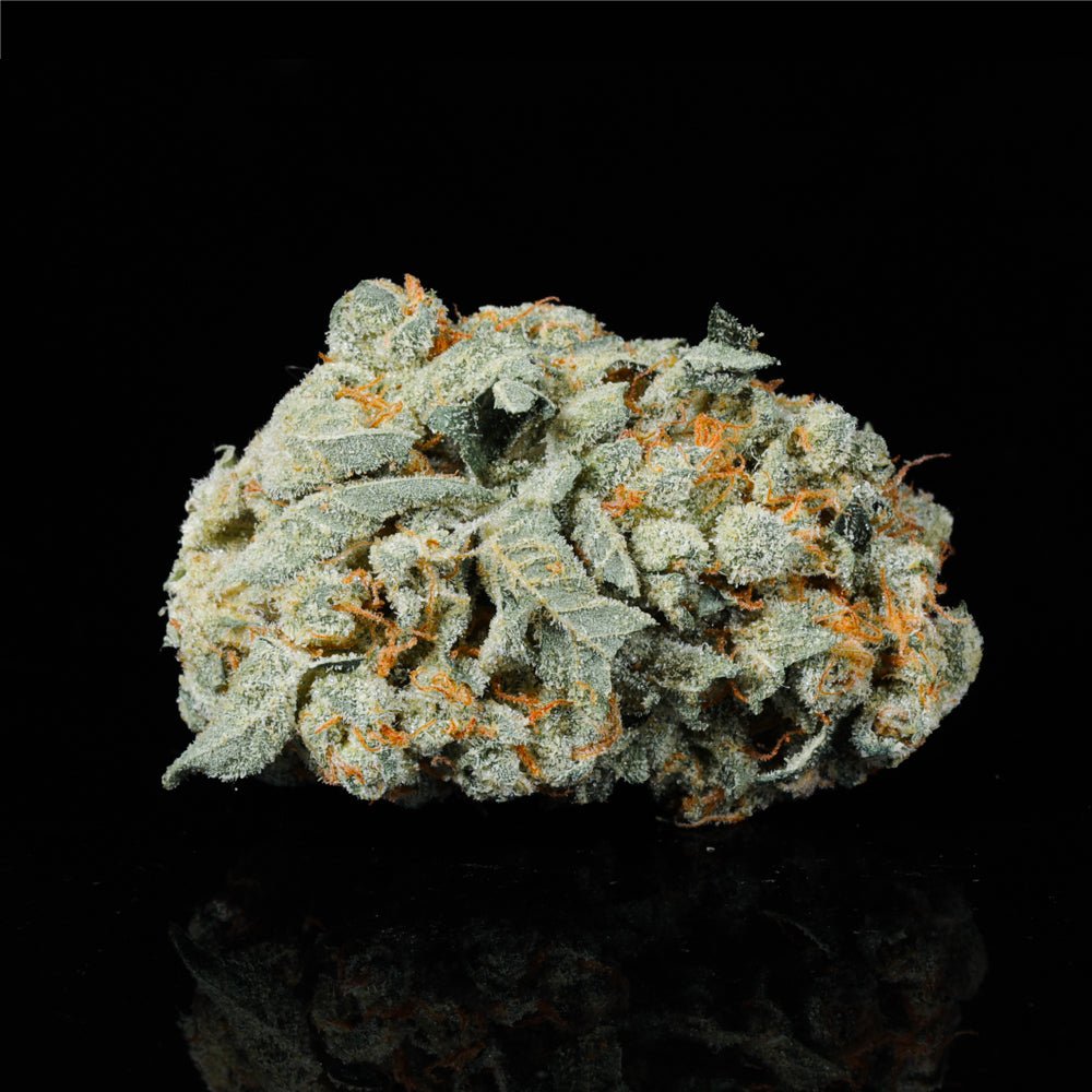 Baccio Gelato THCA Flower (Indica-Dominant Hybrid) | Lit Farms