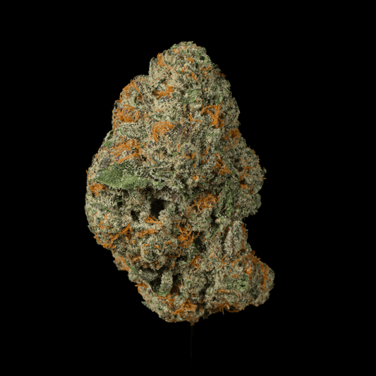 Banana Bread THCA Flower - Lost In Translation