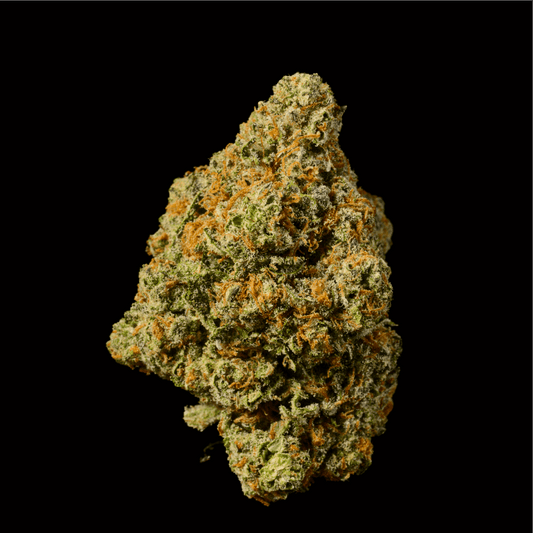 Banana Cream Pie THCA Flower - Lost In Translation