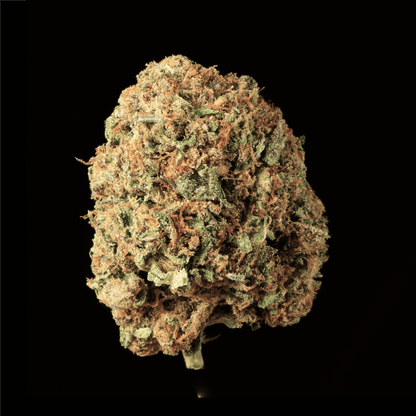 Banana Runtz THCA Flower - Lost In Translation