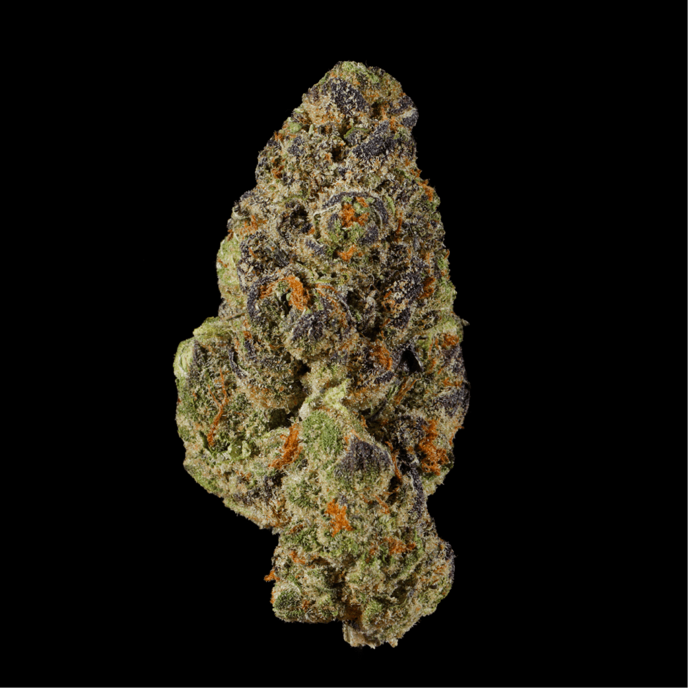 Bangkok Purple THCA Flower - Lost In Translation