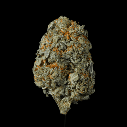 Popsicles THCA Flower - Lost In Translation