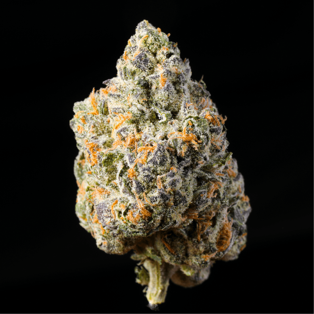 Berries and Cream THCA Flower - Lost In Translation