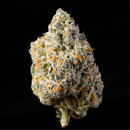 Berries and Cream THCA Flower - Lost In Translation