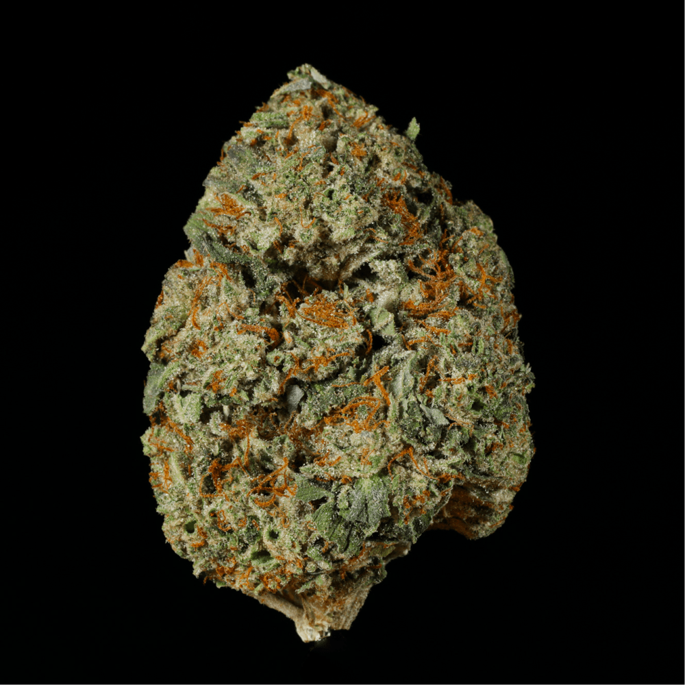 Biscotti Kush THCA Flower - Lost In Translation
