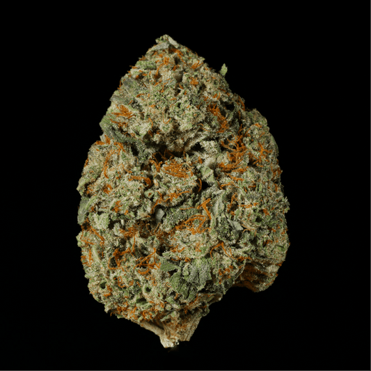 Biscotti Kush THCA Flower - Lost In Translation