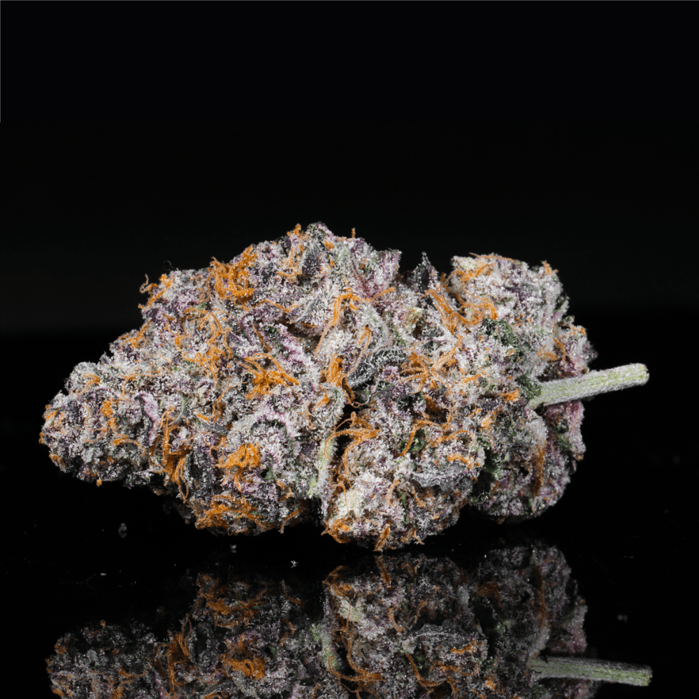 Biscotti THCA Flower (Indica-Dominant Hybrid) | Lit Farms – Lost