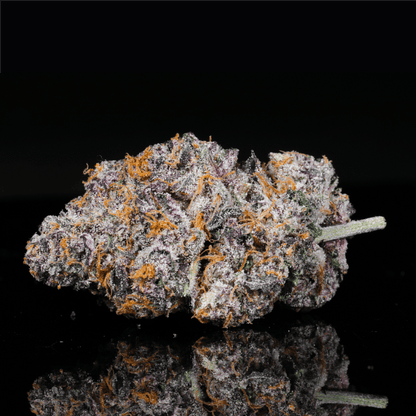 Biscotti THCA Flower - Lost In Translation