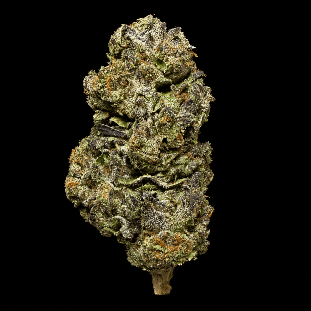 Biscotti THCA Flower - Lost In Translation