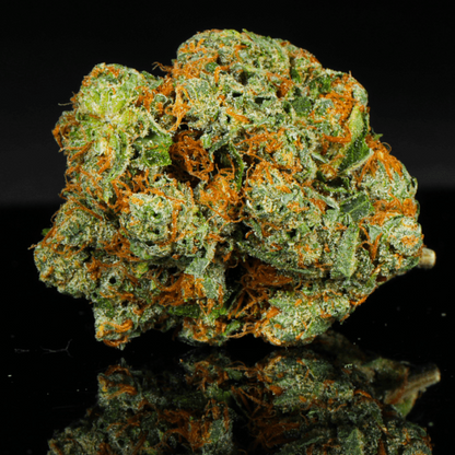 Biscotti Kush THCA Flower - Lost In Translation