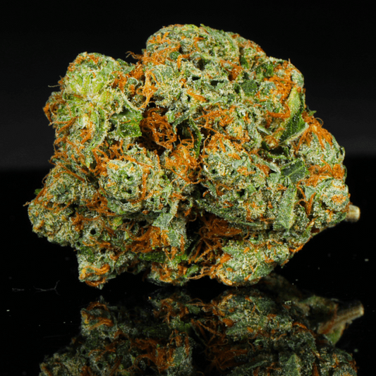 Biscotti Kush THCA Flower - Lost In Translation