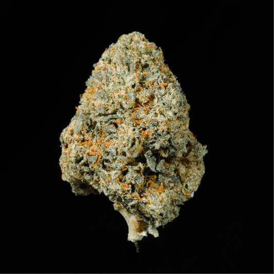 Black Cherry Gelato THCA Flower - Lost In Translation