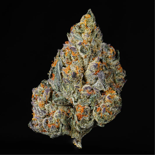 Black Cherry Gelato THCA Flower - Lost In Translation