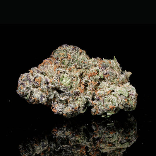 Black Magic THCA Flower - Lost In Translation