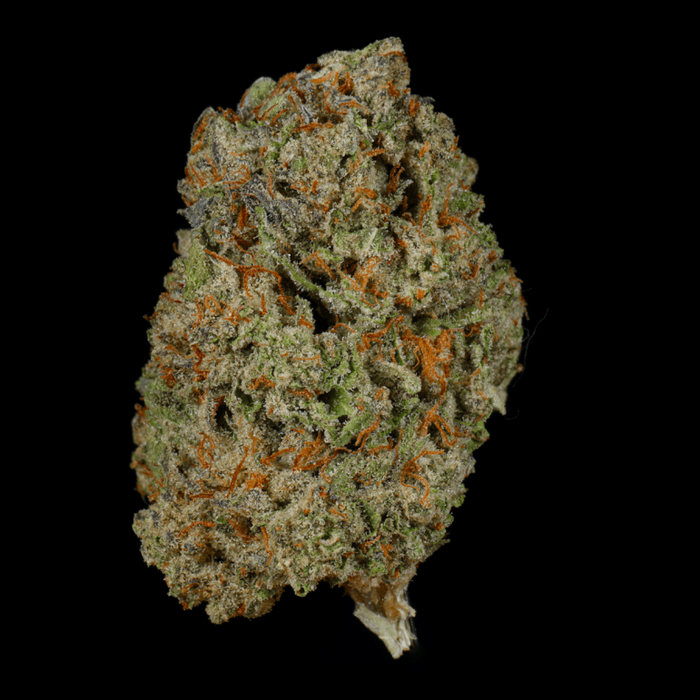 Black Runtz THCA Flower - Lost In Translation