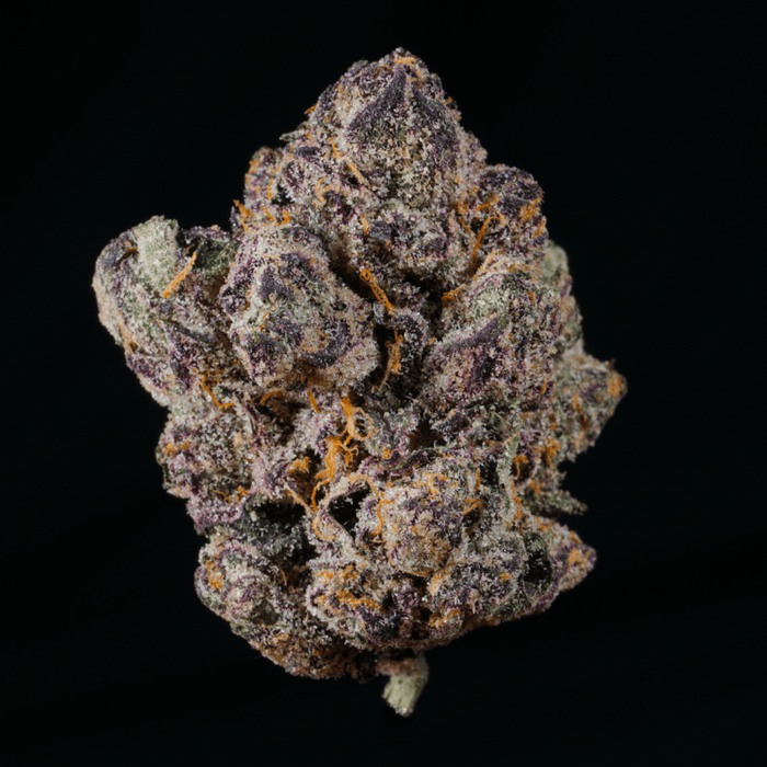 Black Runtz THCA Flower - Lost In Translation
