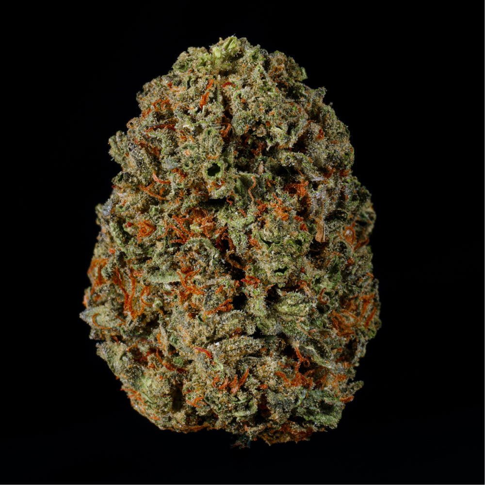 Black Cherry Gelato THCA Flower - Lost In Translation