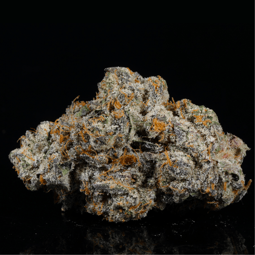 Black Cherry Gelato THCA Flower - Lost In Translation