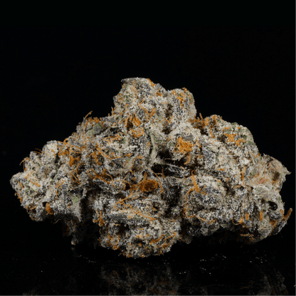 Black Cherry Gelato THCA Flower - Lost In Translation