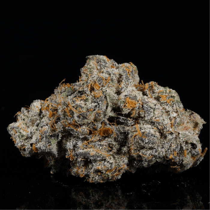 Black Cherry Gelato THCA Flower - Lost In Translation