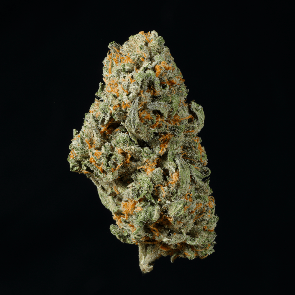 Black Truffle THCA Flower - Lost In Translation