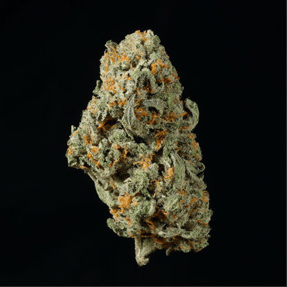 Black Truffle THCA Flower - Lost In Translation