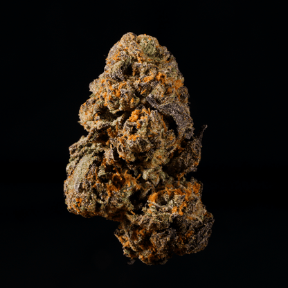 Black Truffle THCA Flower - Lost In Translation
