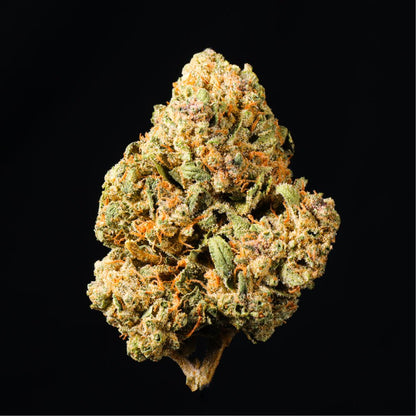 Oakland Runtz THCA Flower - Lost In Translation