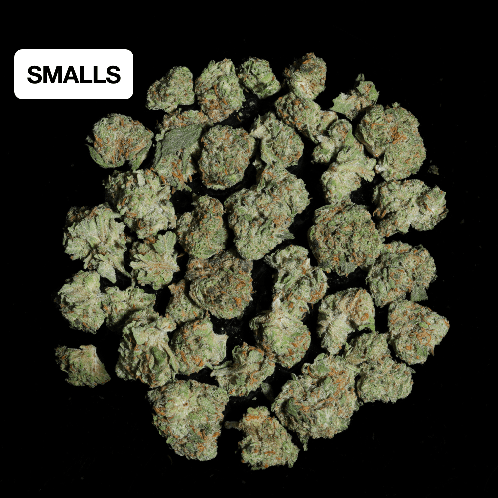 Blackberry Kush THCA Flower - Lost In Translation