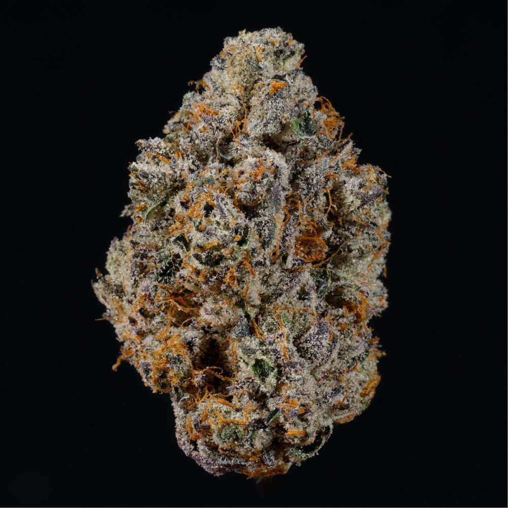 Blood Diamondz THCA Flower - Lost In Translation