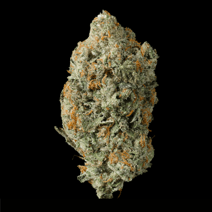 Blue Andies THCA Flower - Lost In Translation