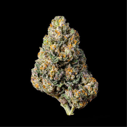 Blue Pressed THCA Flower - Lost In Translation