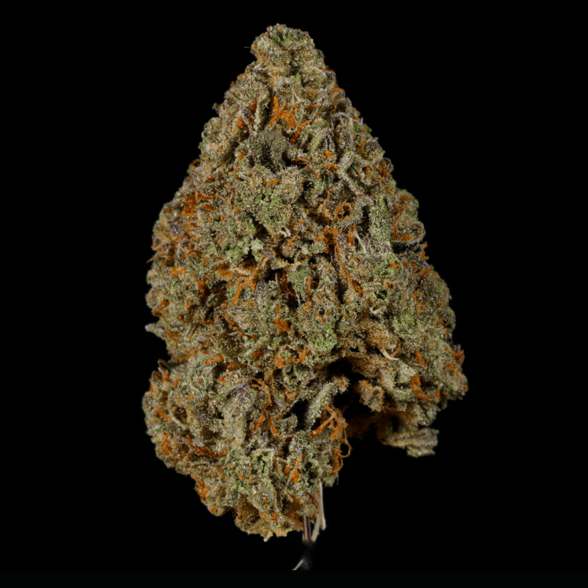 Blue Magic THCA Flower - Lost In Translation