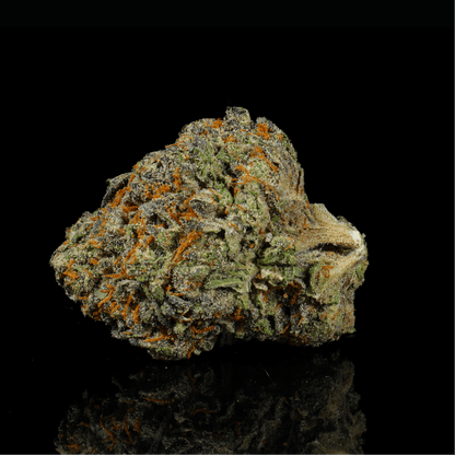 Berries and Cream THCA Flower - Lost In Translation