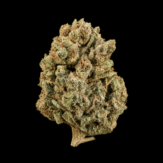 Blue Dream THCA Flower - Lost In Translation