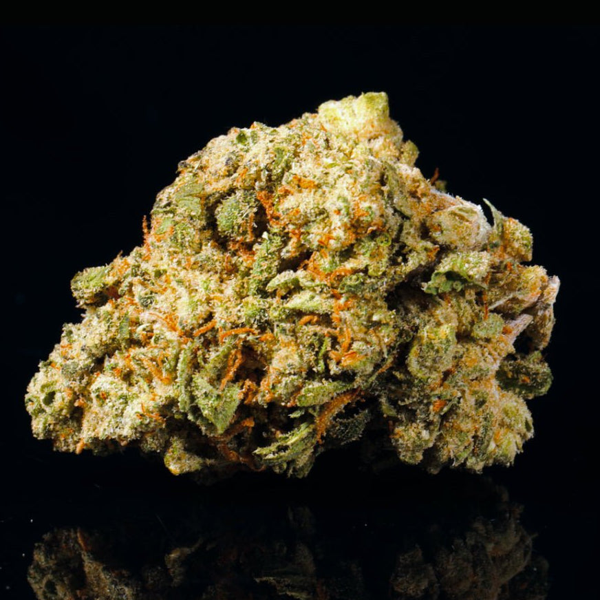 Blue Halo THCA Flower (Hybrid) | Lit Farms – Lost In Translation