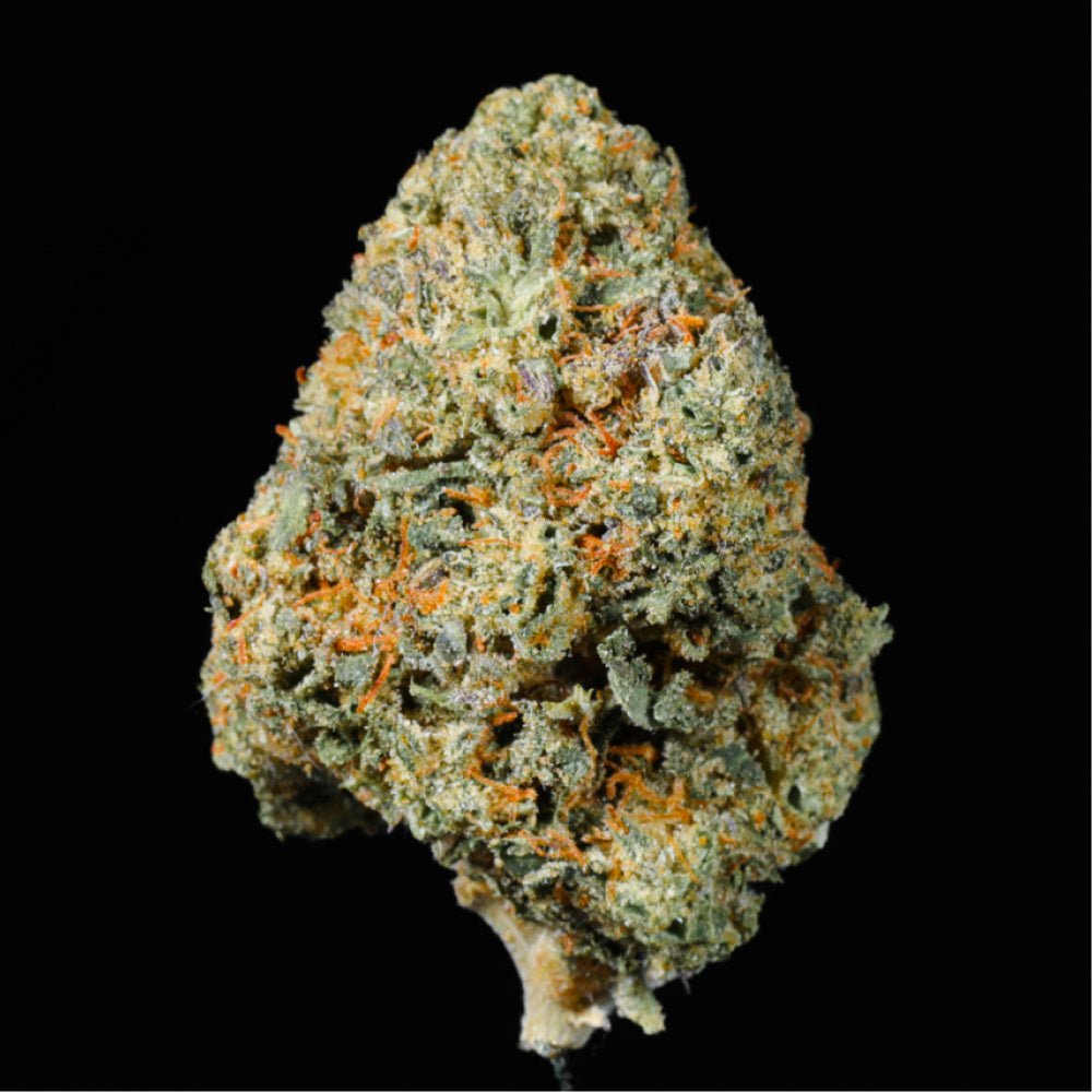 Blue Halo THCA Flower - Lost In Translation