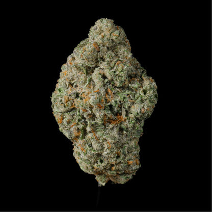 Blue Pressed THCA Flower - Lost In Translation