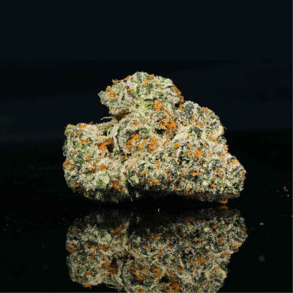 Blueberry Muffin THCA Flower - Lost In Translation
