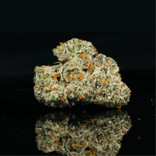 Blueberry Muffin THCA Flower - Lost In Translation